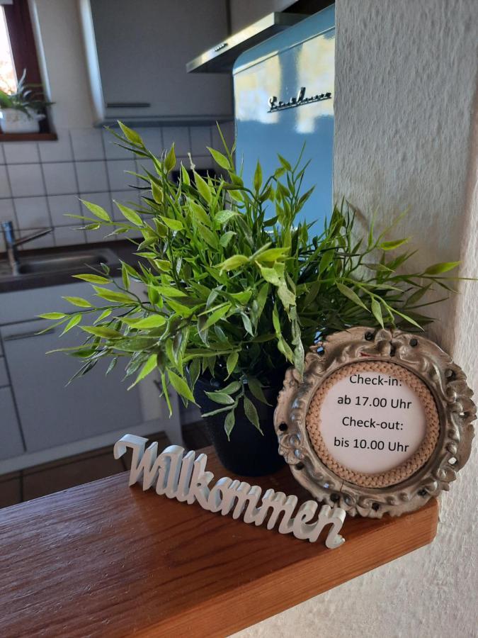 Schoene Einzimmer Wohnung Zwischen Bodensee Und Allgaeu Нойкирх Экстерьер фото