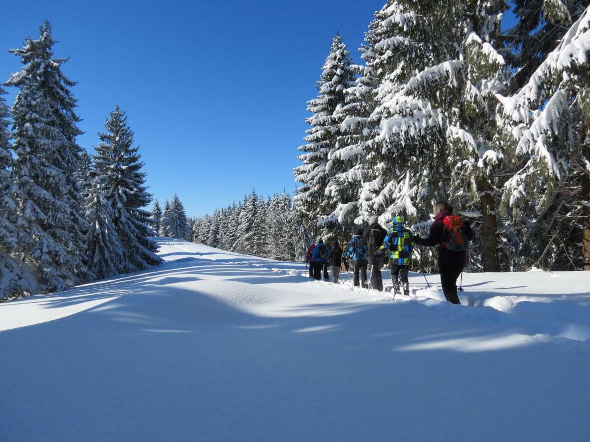 Schoene Einzimmer Wohnung Zwischen Bodensee Und Allgaeu Нойкирх Экстерьер фото